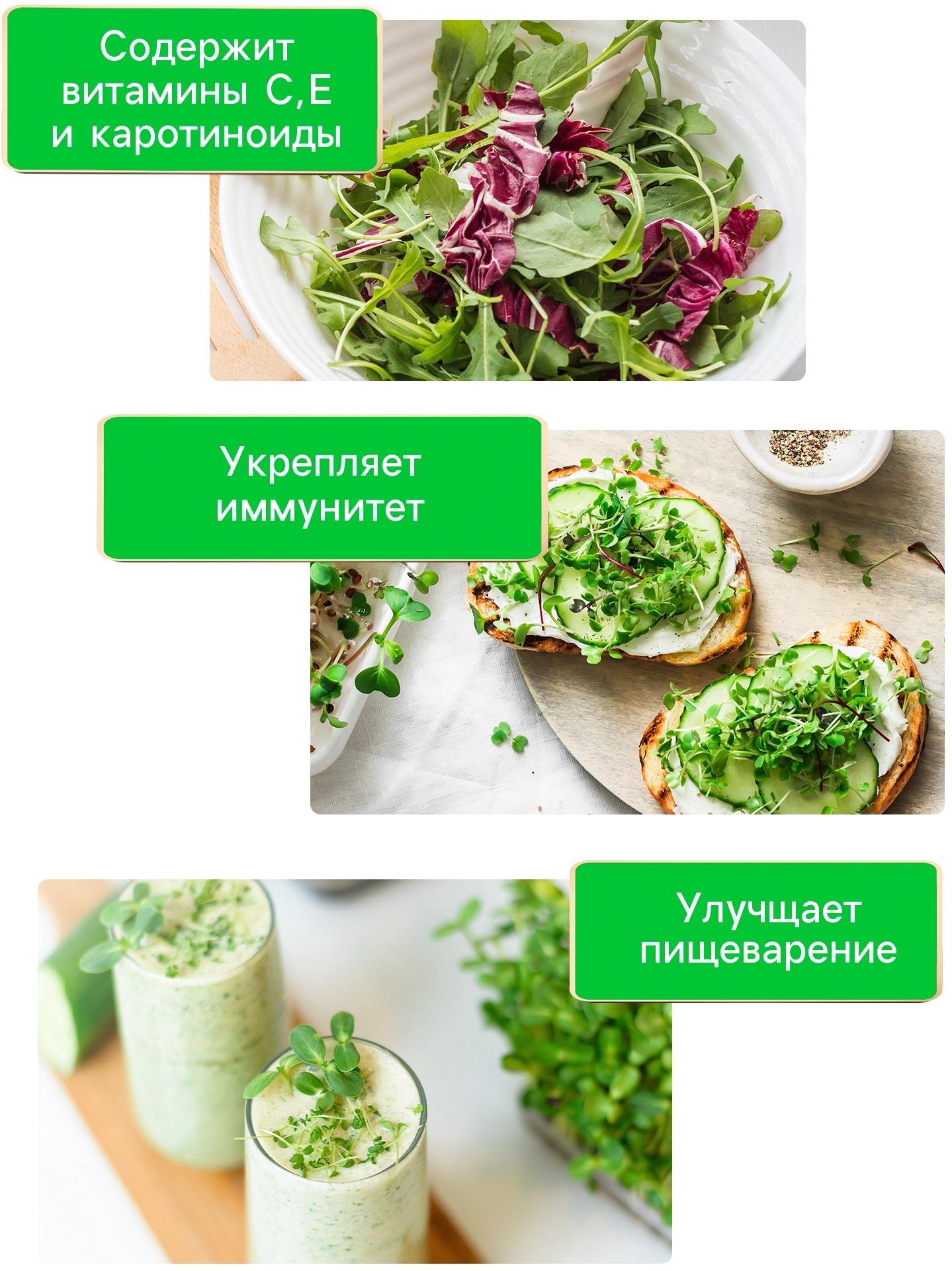 Семена Кресс-салат 