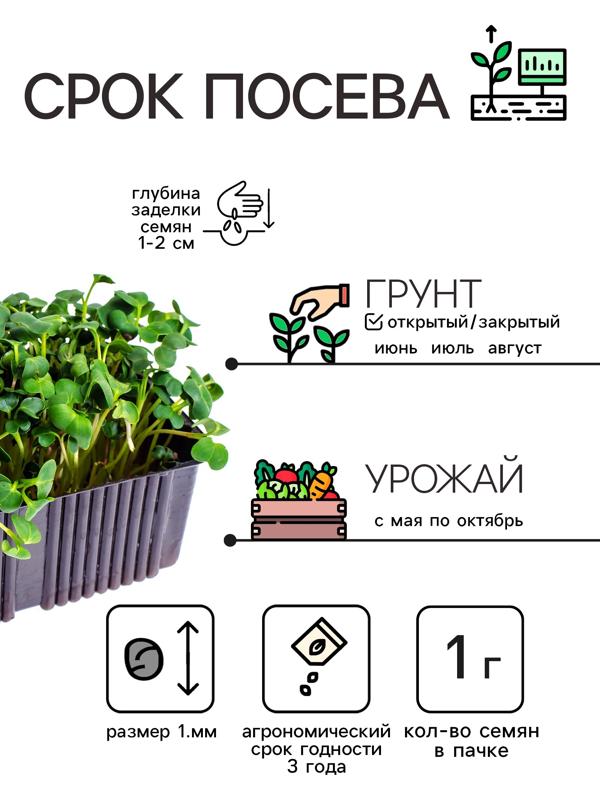 Семена Кресс-салат 