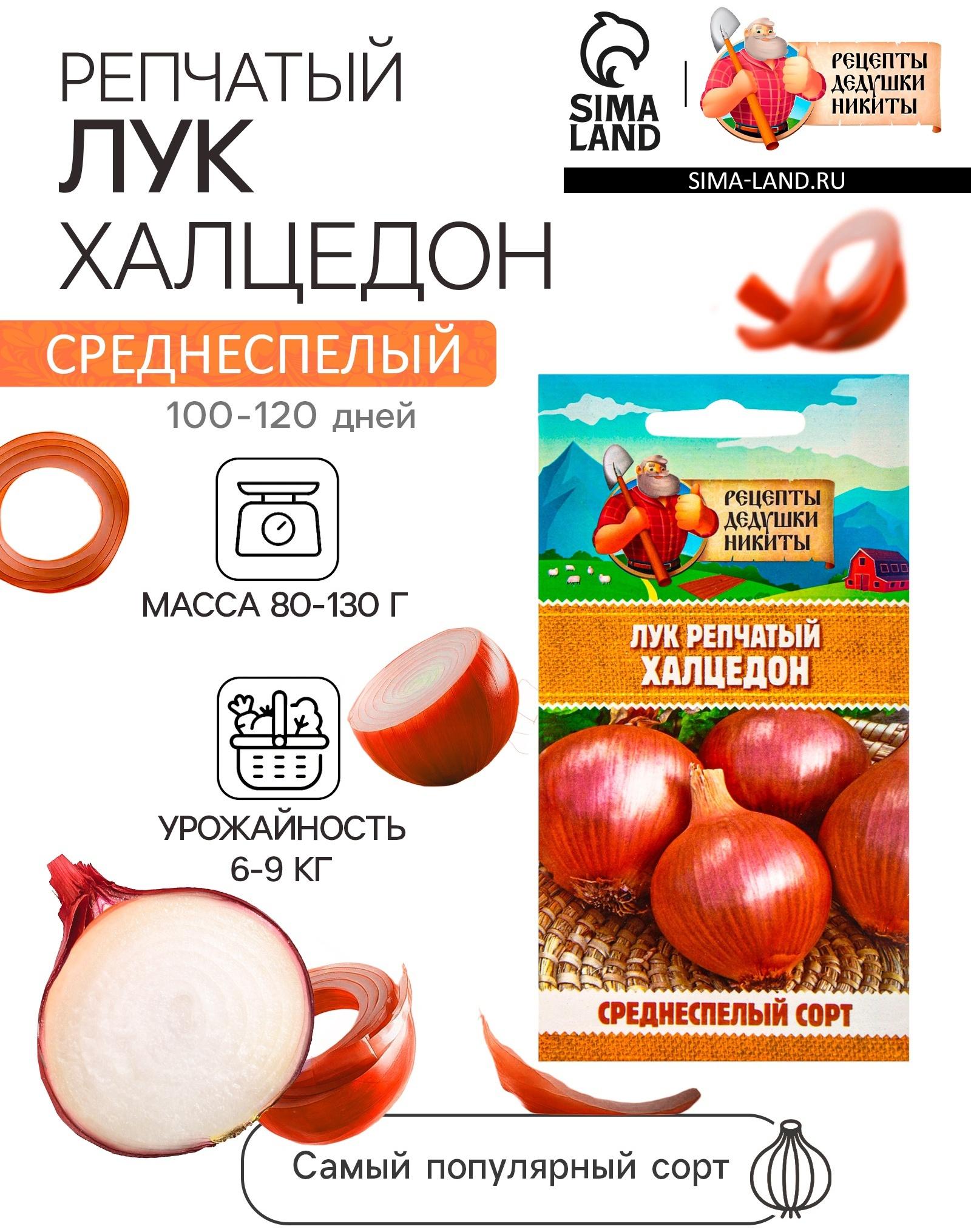 Семена Лук репчатый 