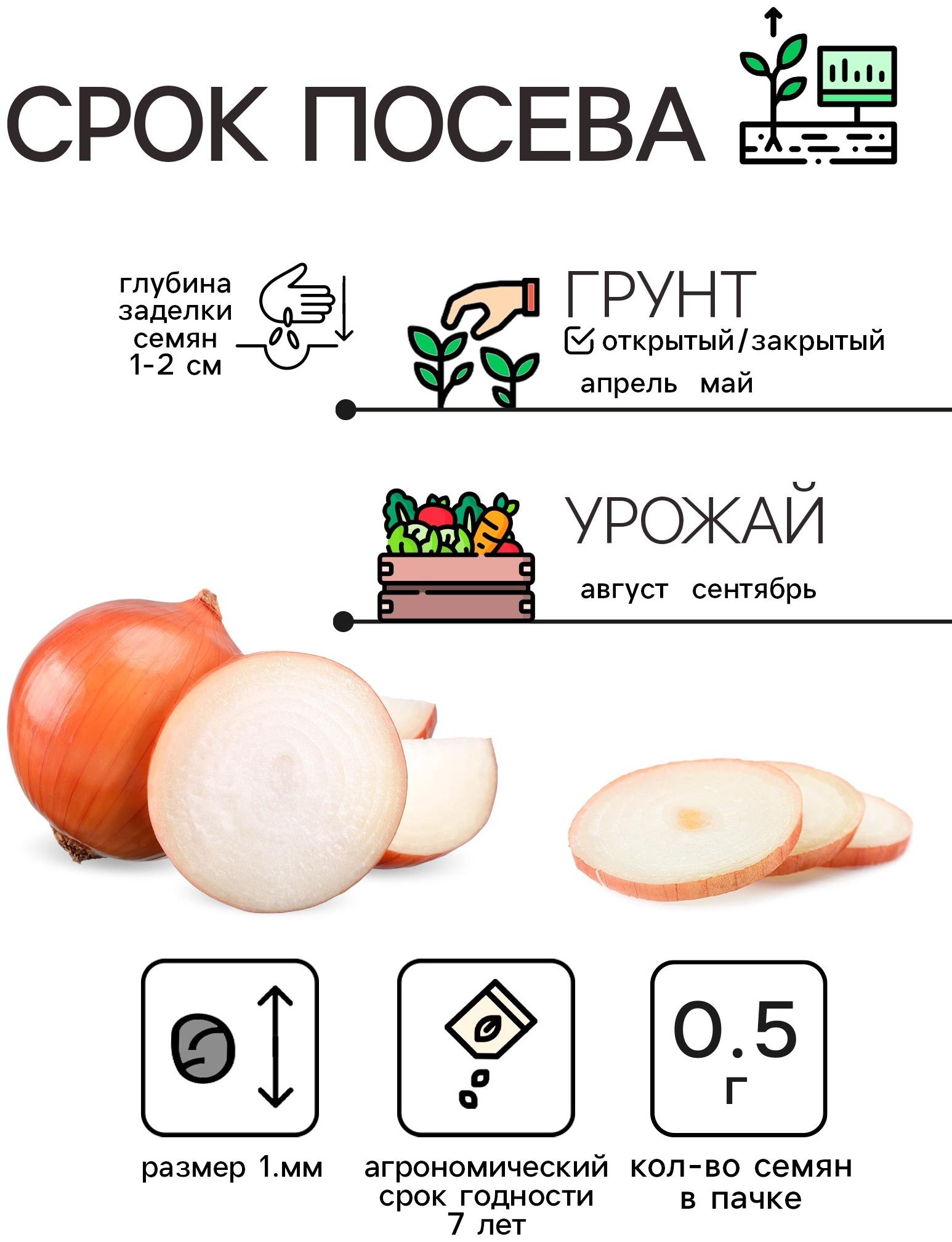 Семена Лук репчатый 