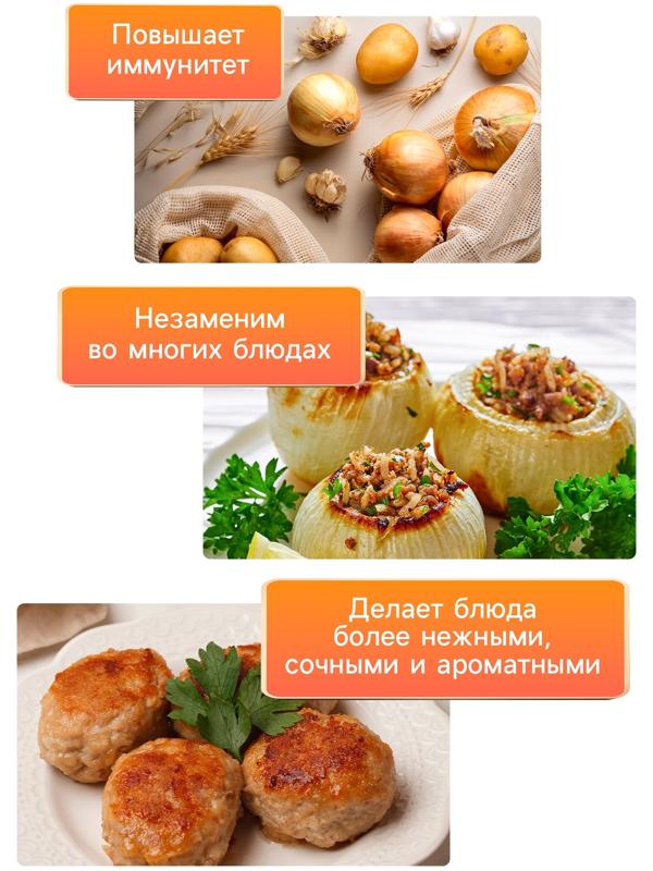 Семена Лук репчатый 