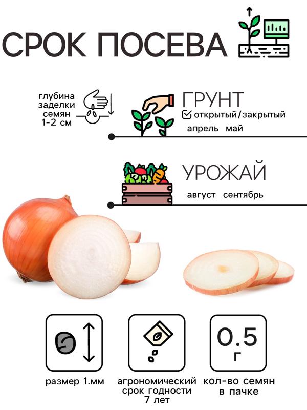 Семена Лук репчатый 