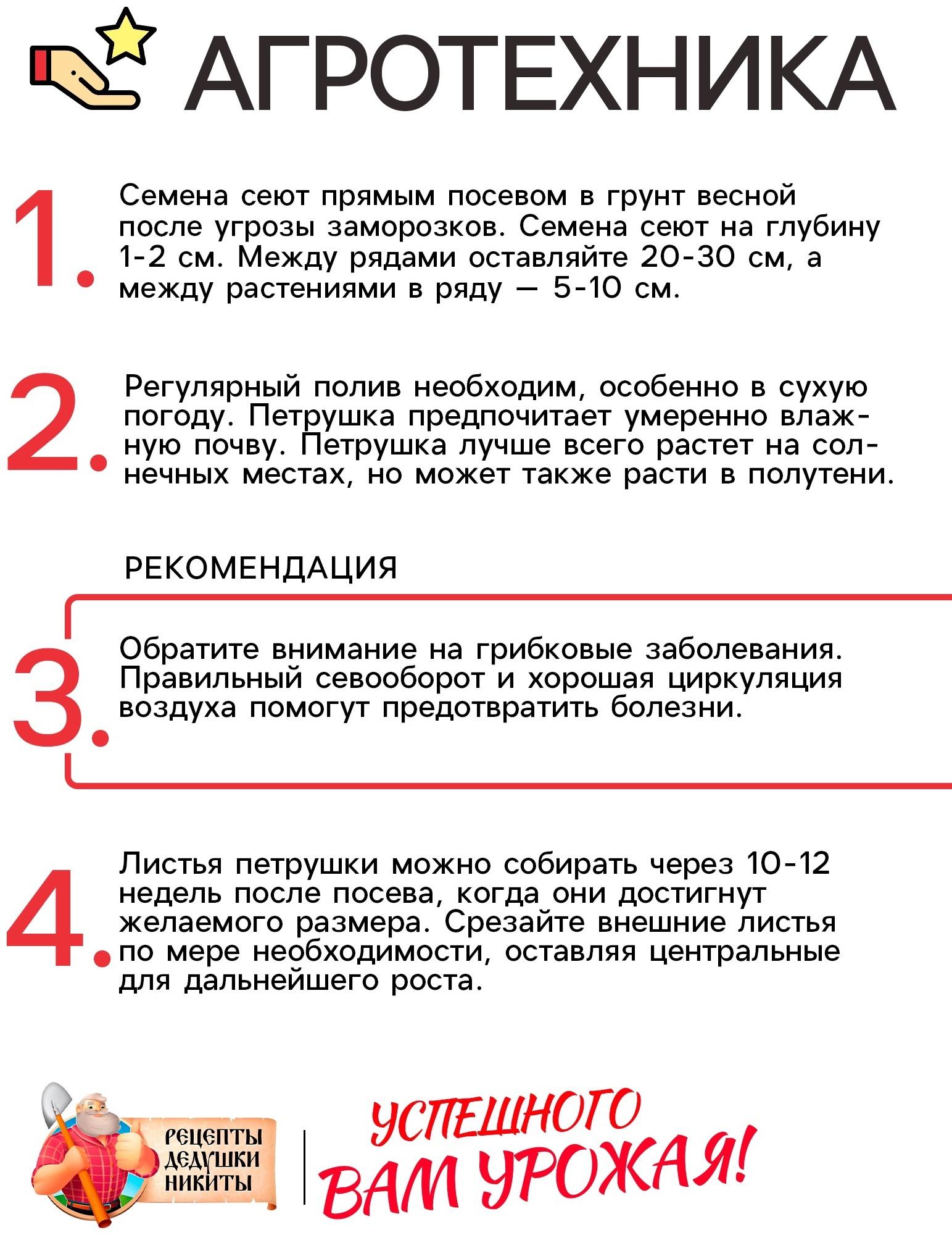 Семена Петрушка 