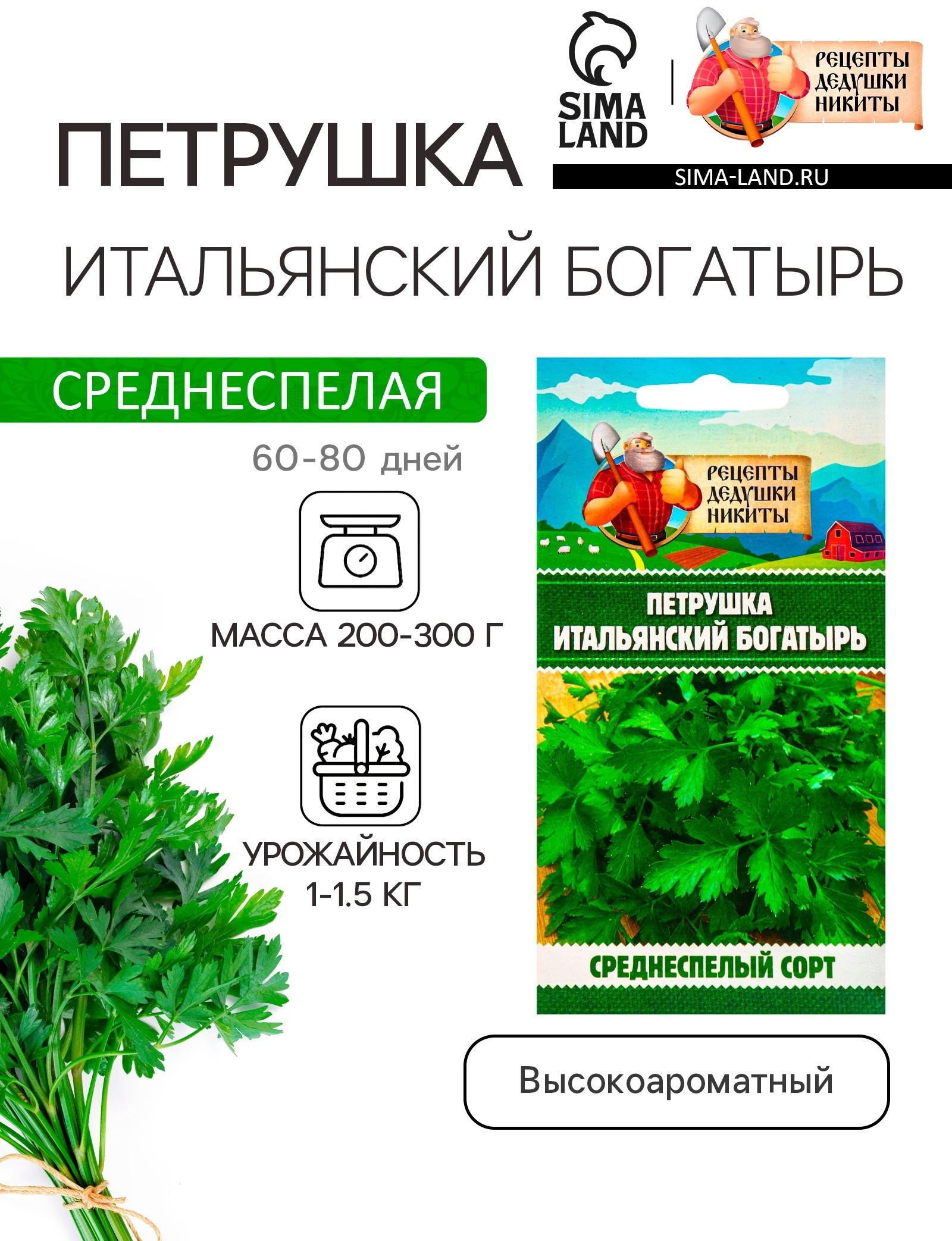 Семена Петрушка 