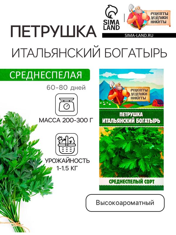 Семена Петрушка 