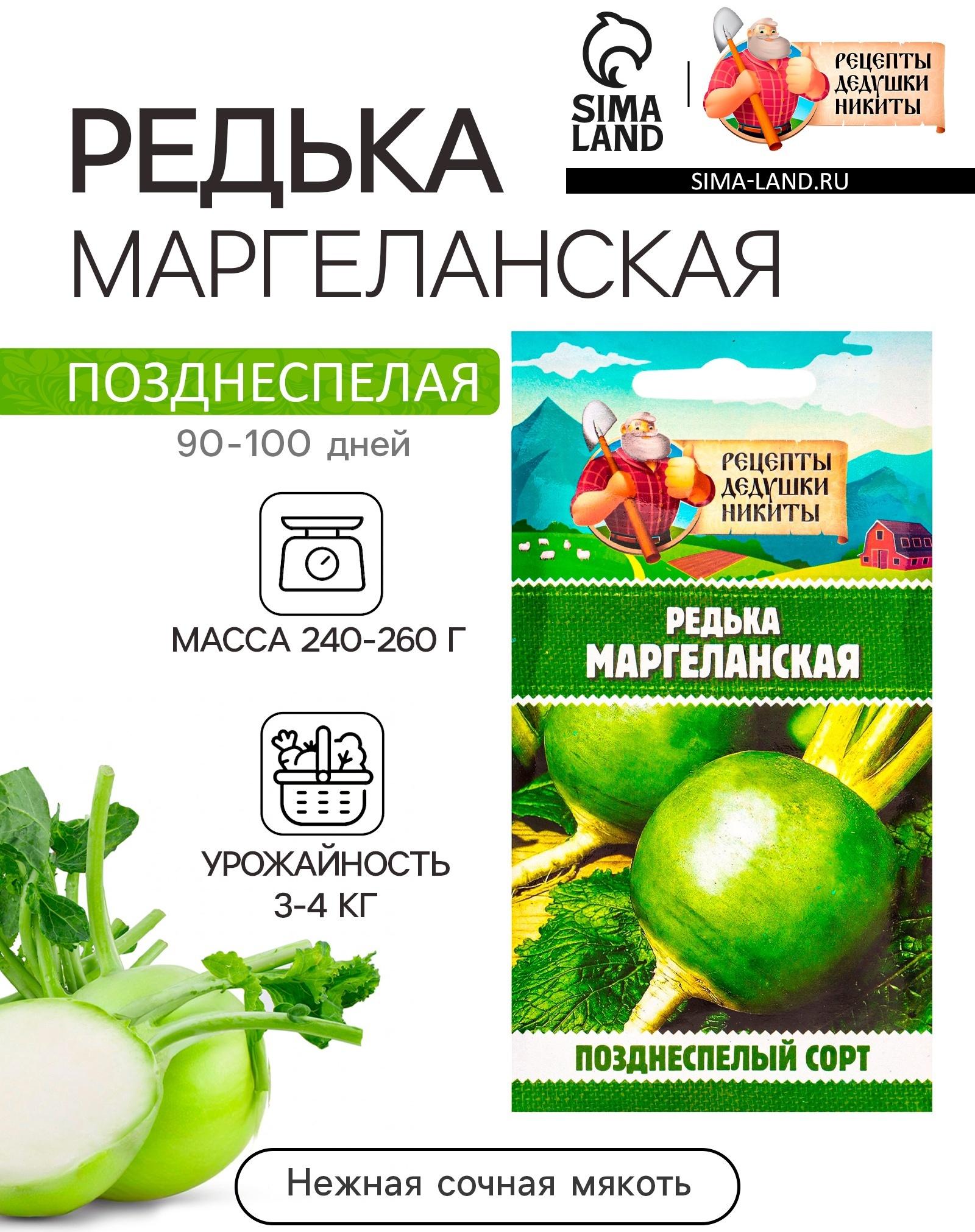 Семена Редька 