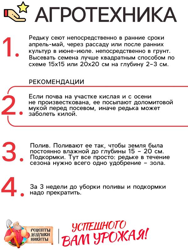 Семена Редька 