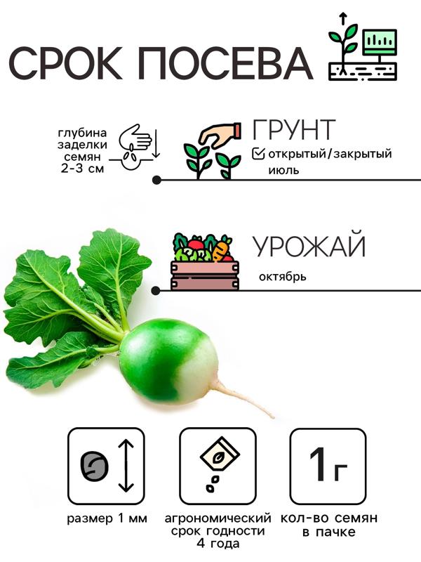 Семена Редька 