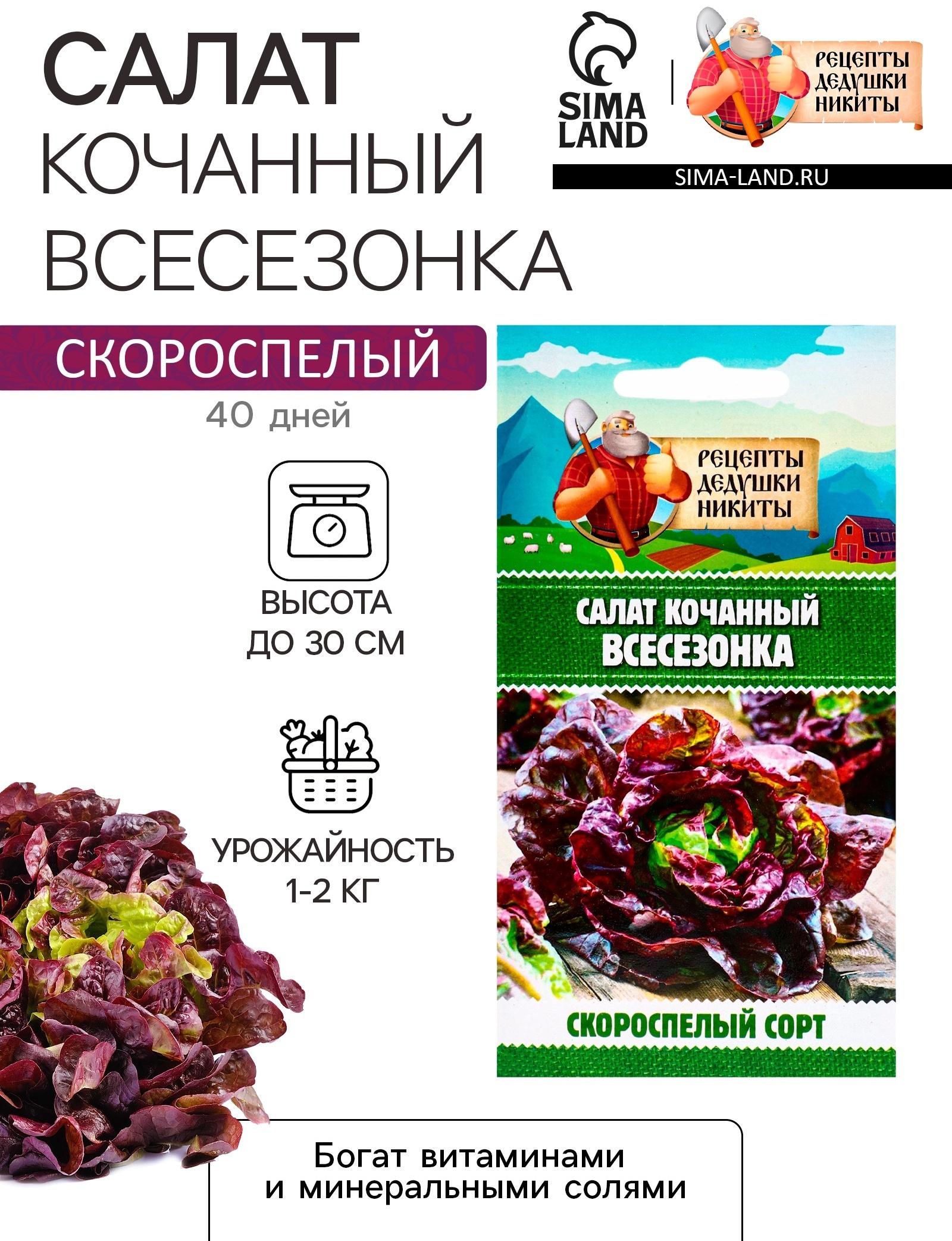 Семена Салат кочанный 