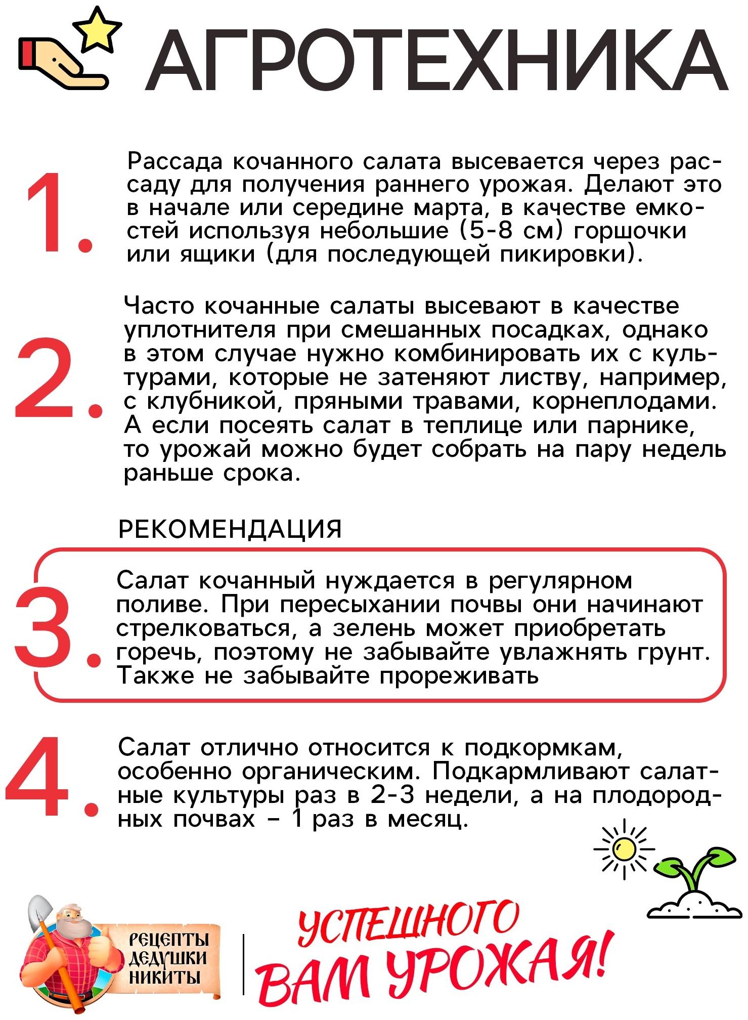 Семена Салат кочанный 