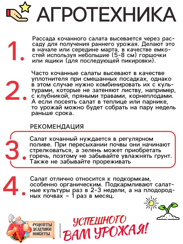 Семена Салат кочанный 