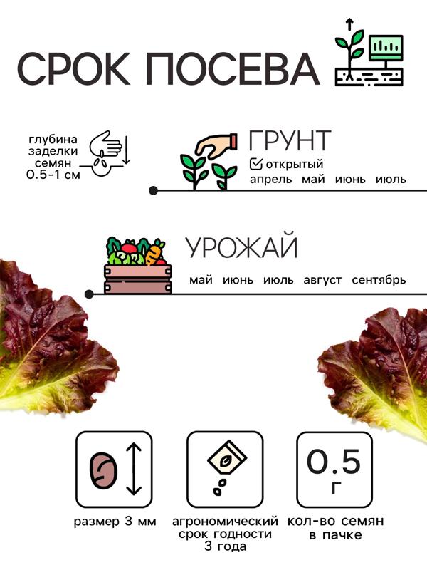 Семена Салат кочанный 