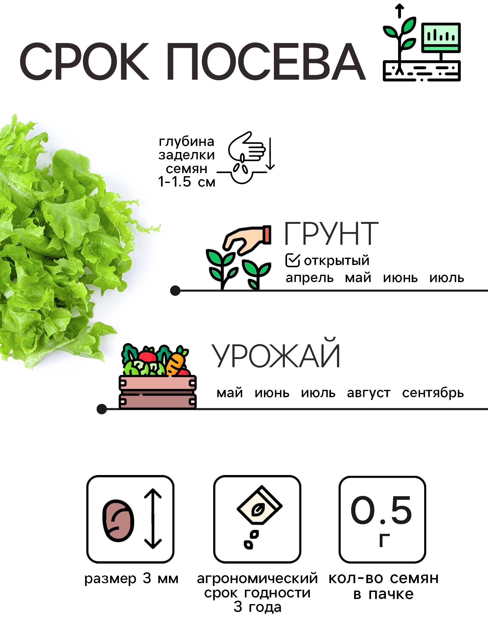 Семена Салат листовой 