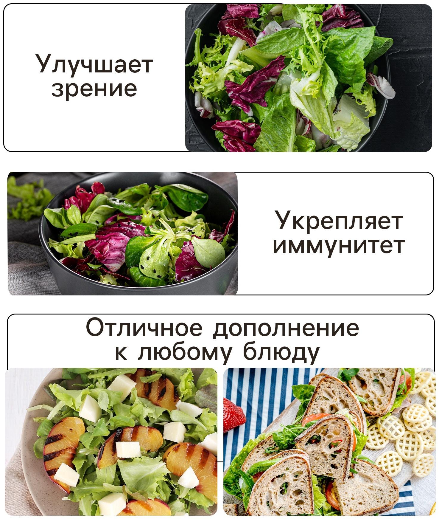 Семена Салат листовой 