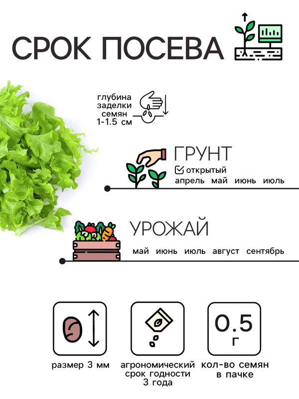 Семена Салат листовой 