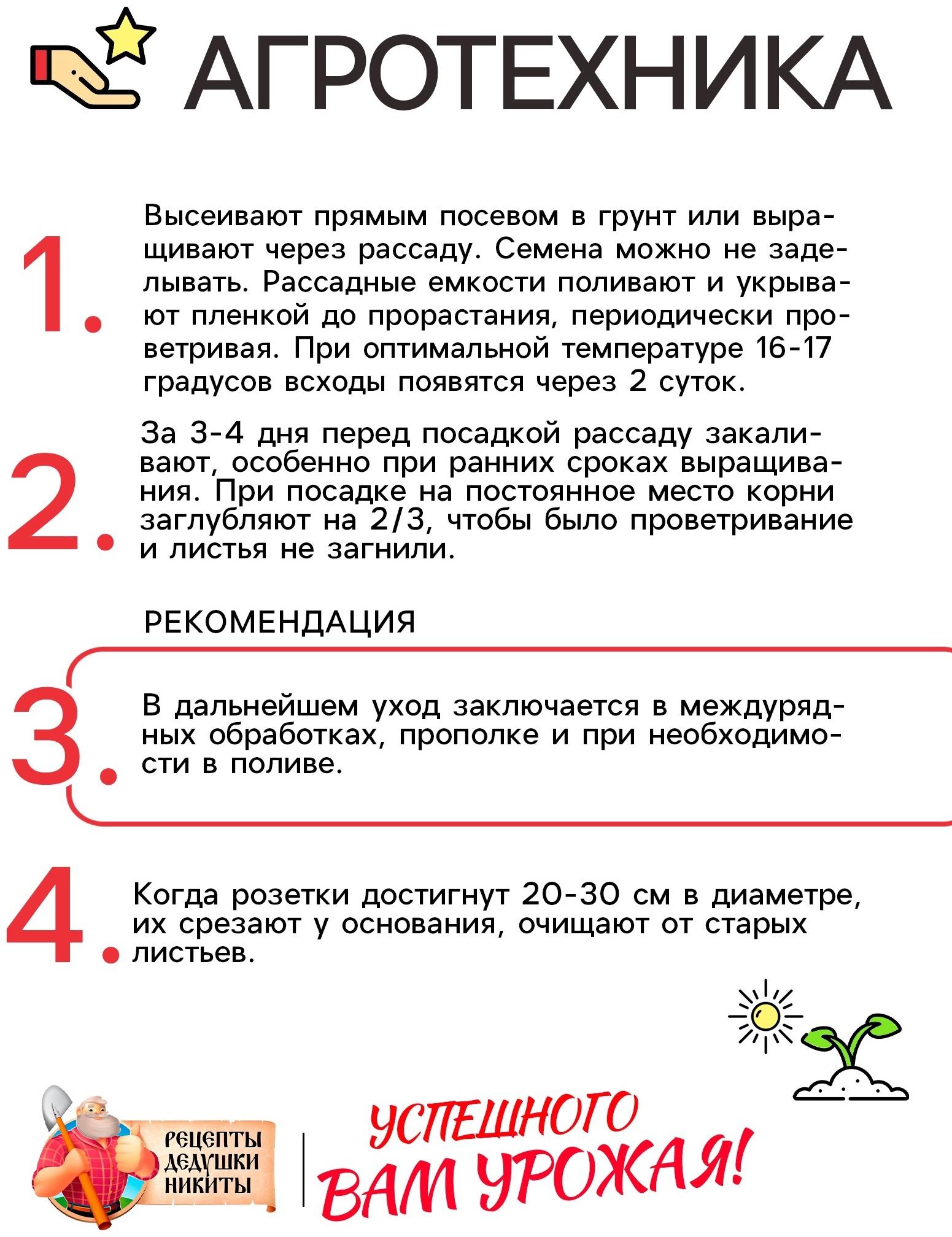 Семена Салат листовой 