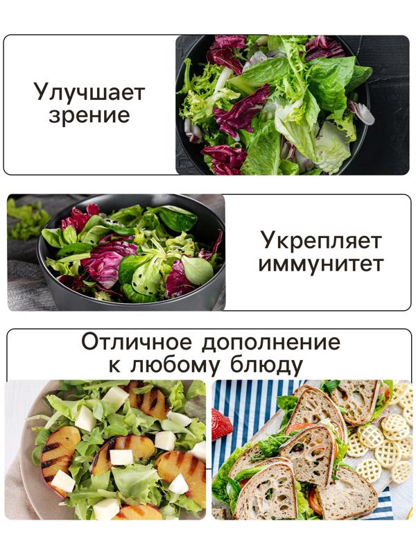 Семена Салат листовой 