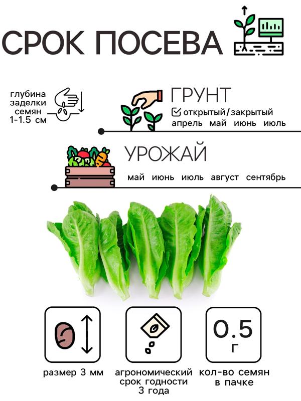 Семена Салат листовой 