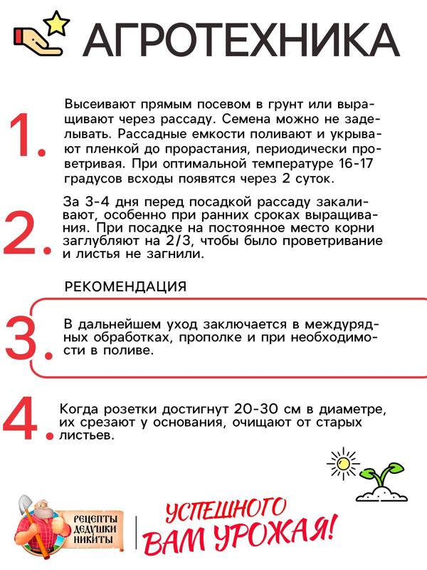 Семена Салат листовой 