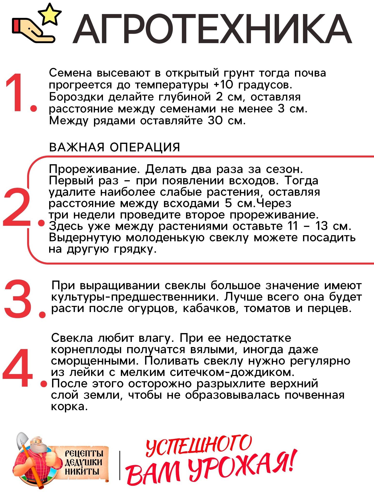 Семена Свекла столовая 