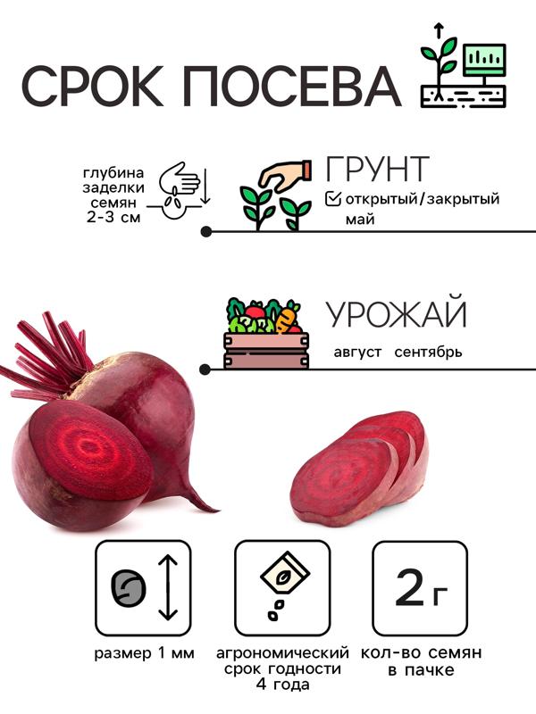 Семена Свекла столовая 