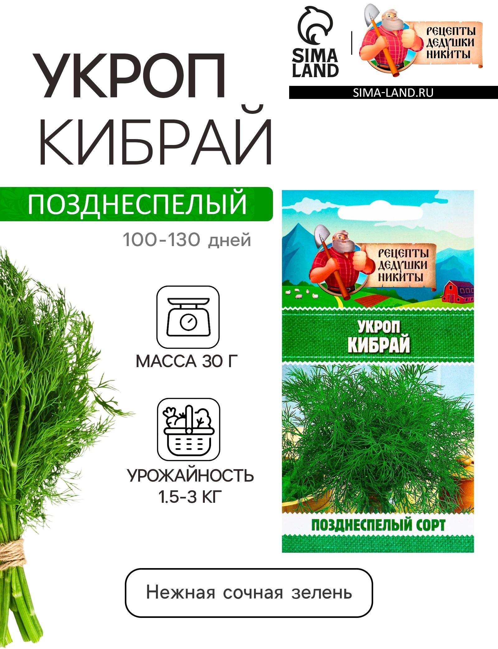 Семена Укроп 