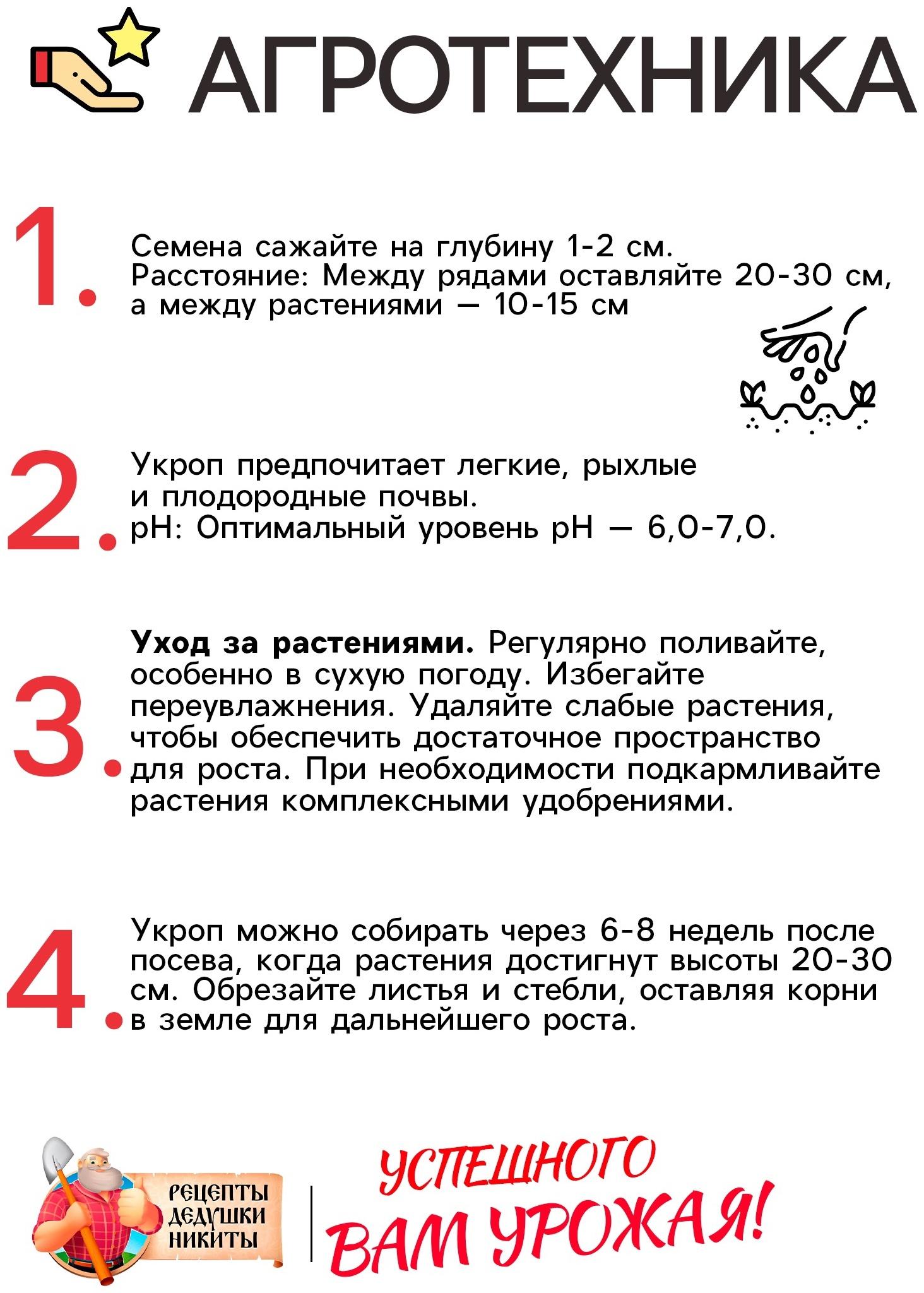 Семена Укроп 