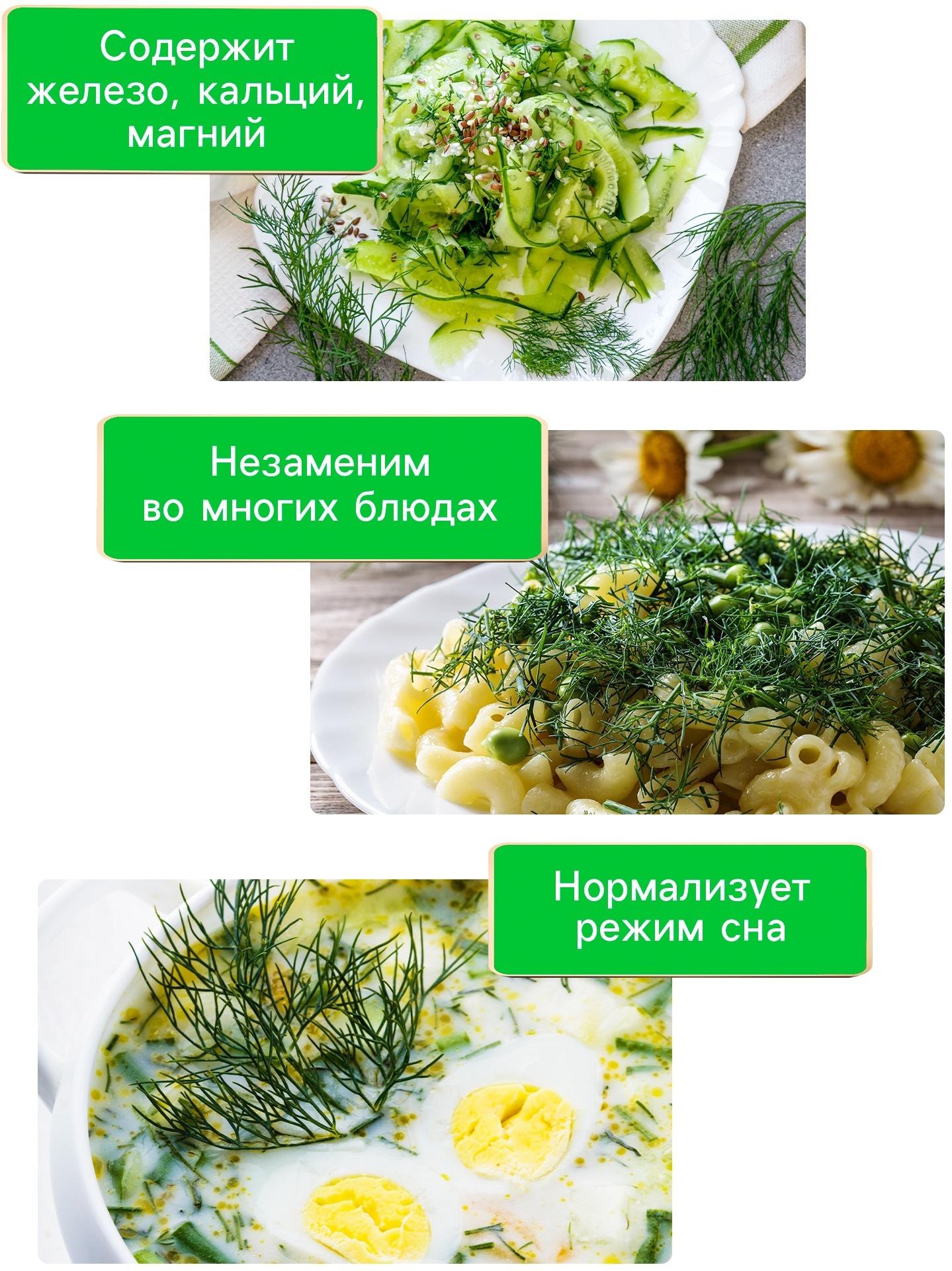 Семена Укроп 