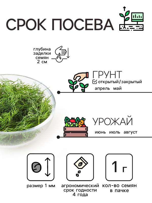 Семена Укроп 