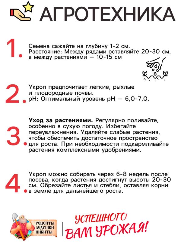 Семена Укроп 