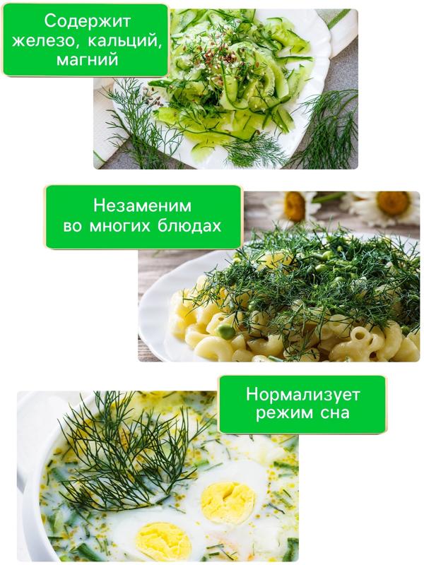 Семена Укроп 