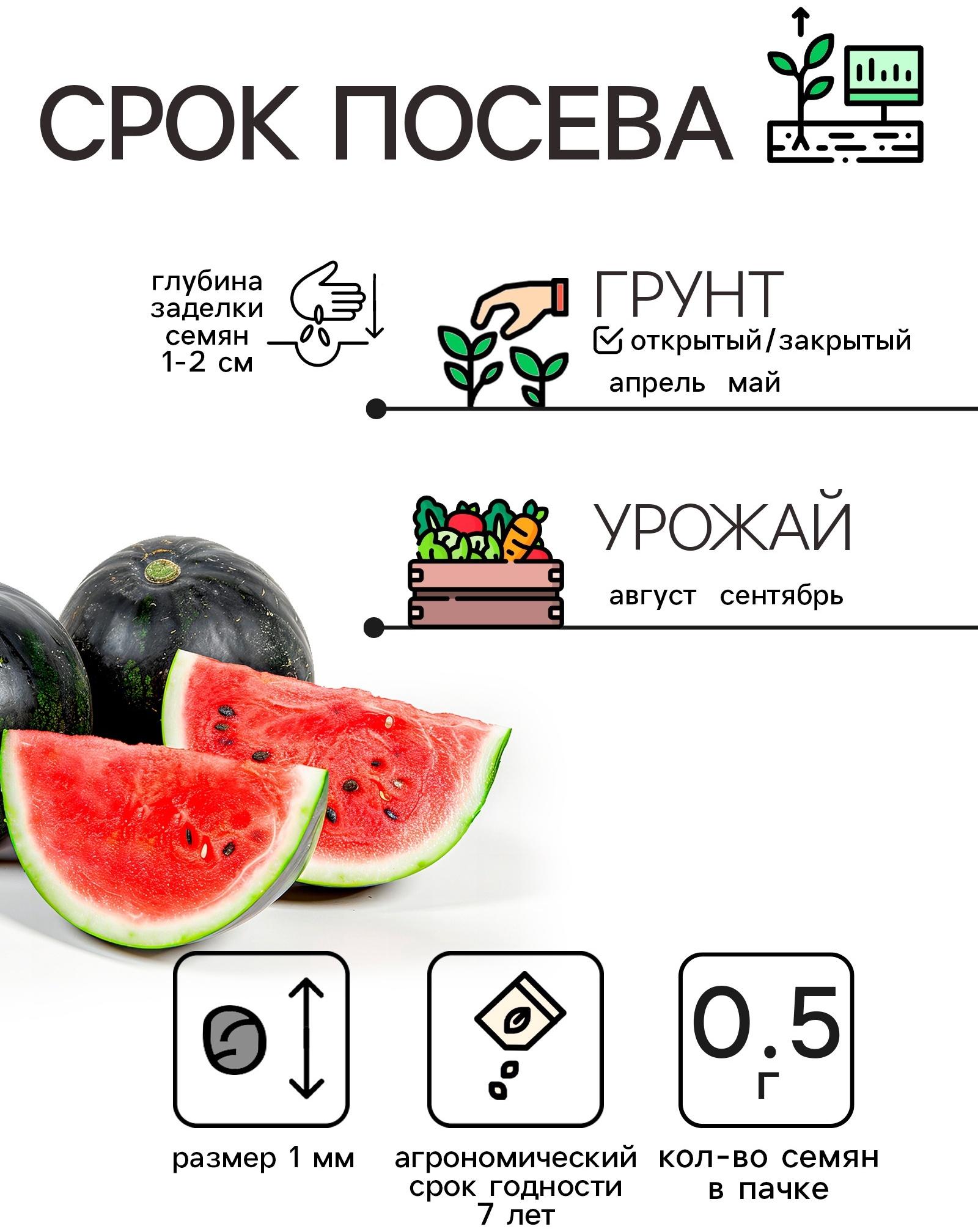 Семена Арбуз 