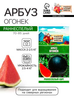 Семена Арбуз 