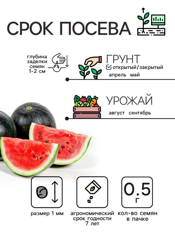 Семена Арбуз 