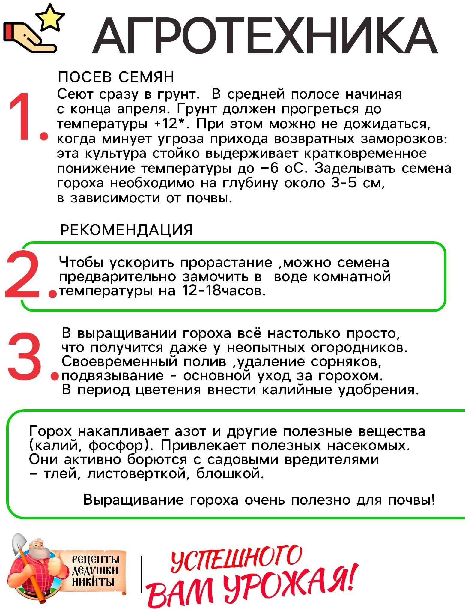 Семена Горох 