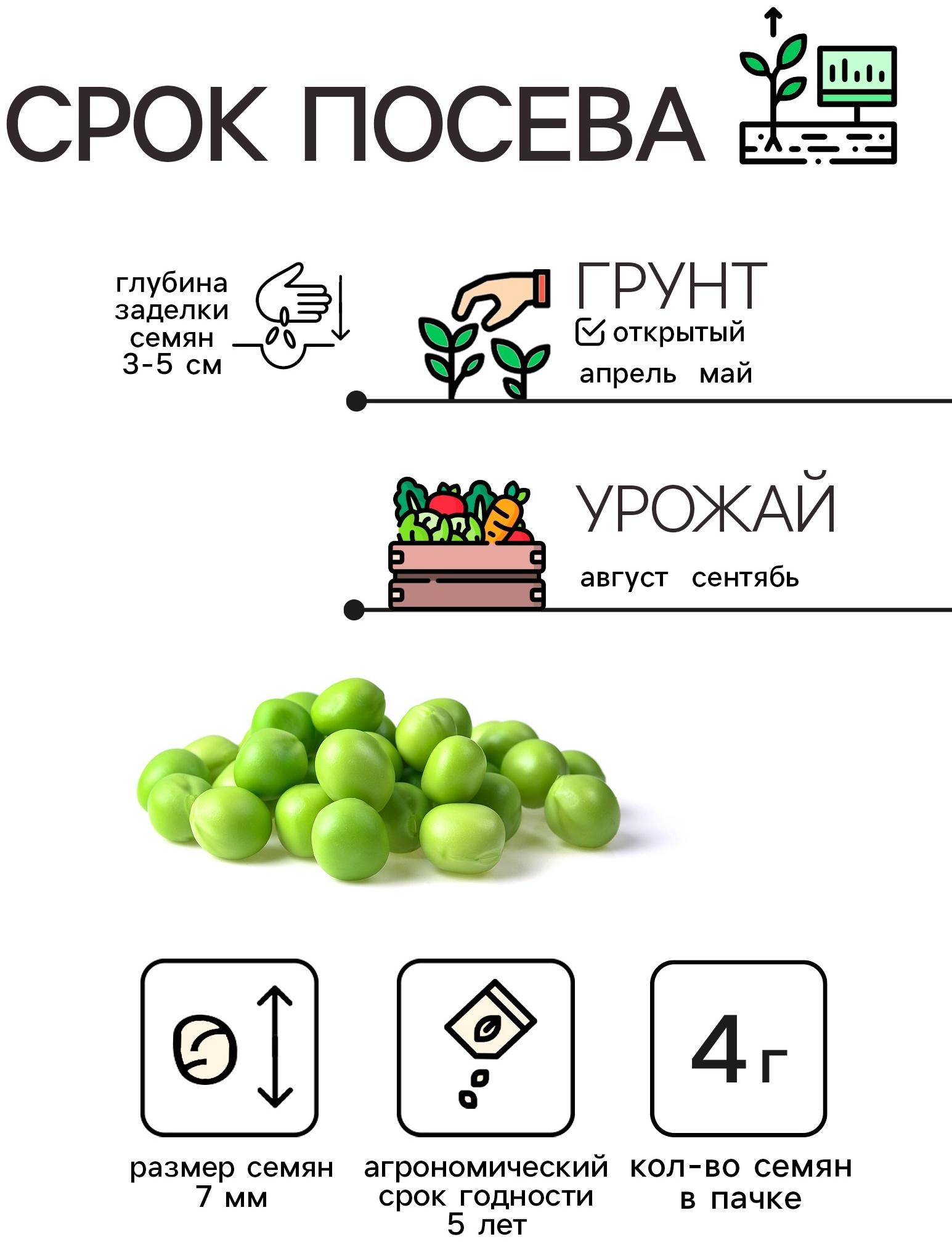 Семена Горох 