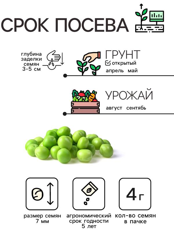 Семена Горох 