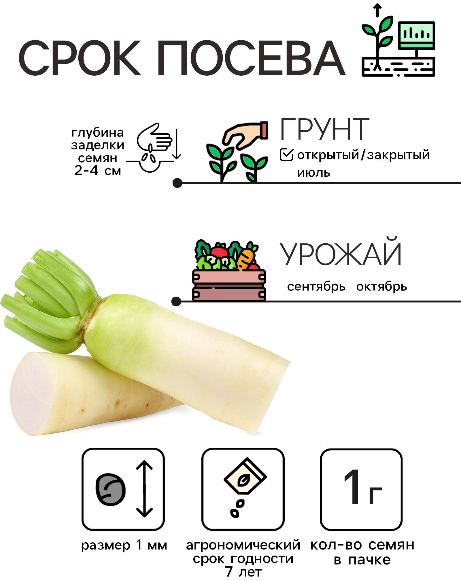 Семена Дайкон 