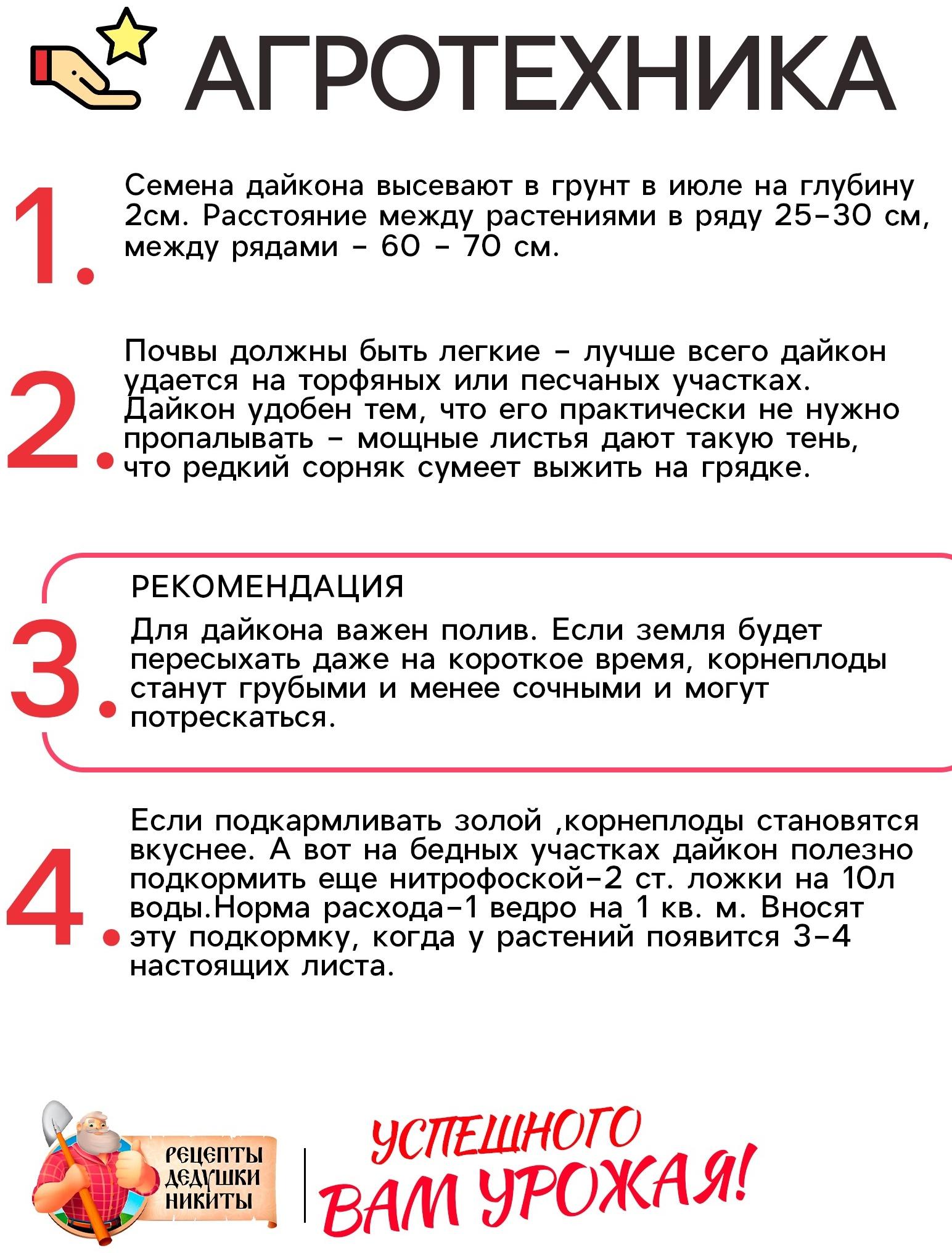 Семена Дайкон 