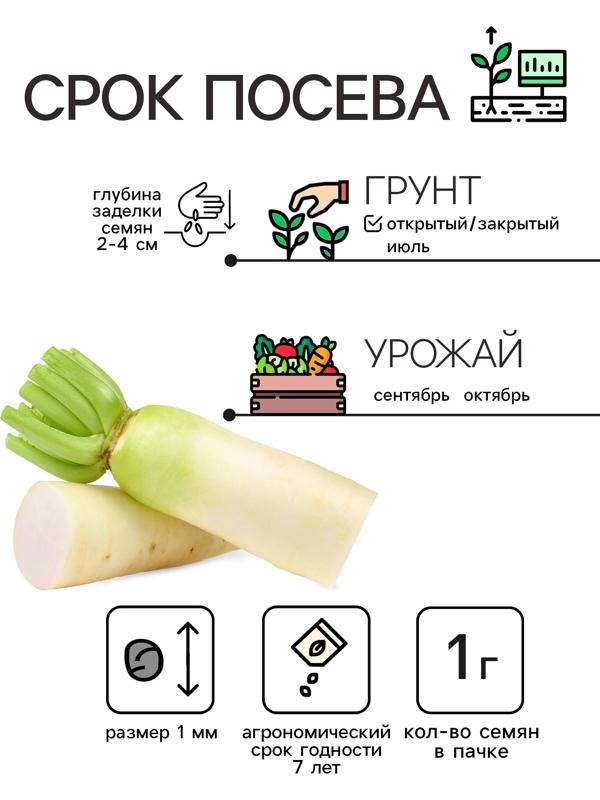 Семена Дайкон 