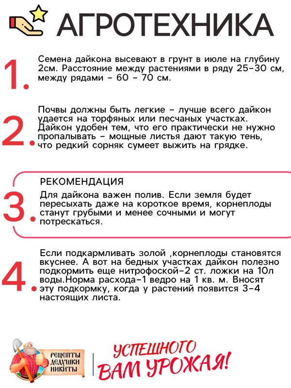 Семена Дайкон 