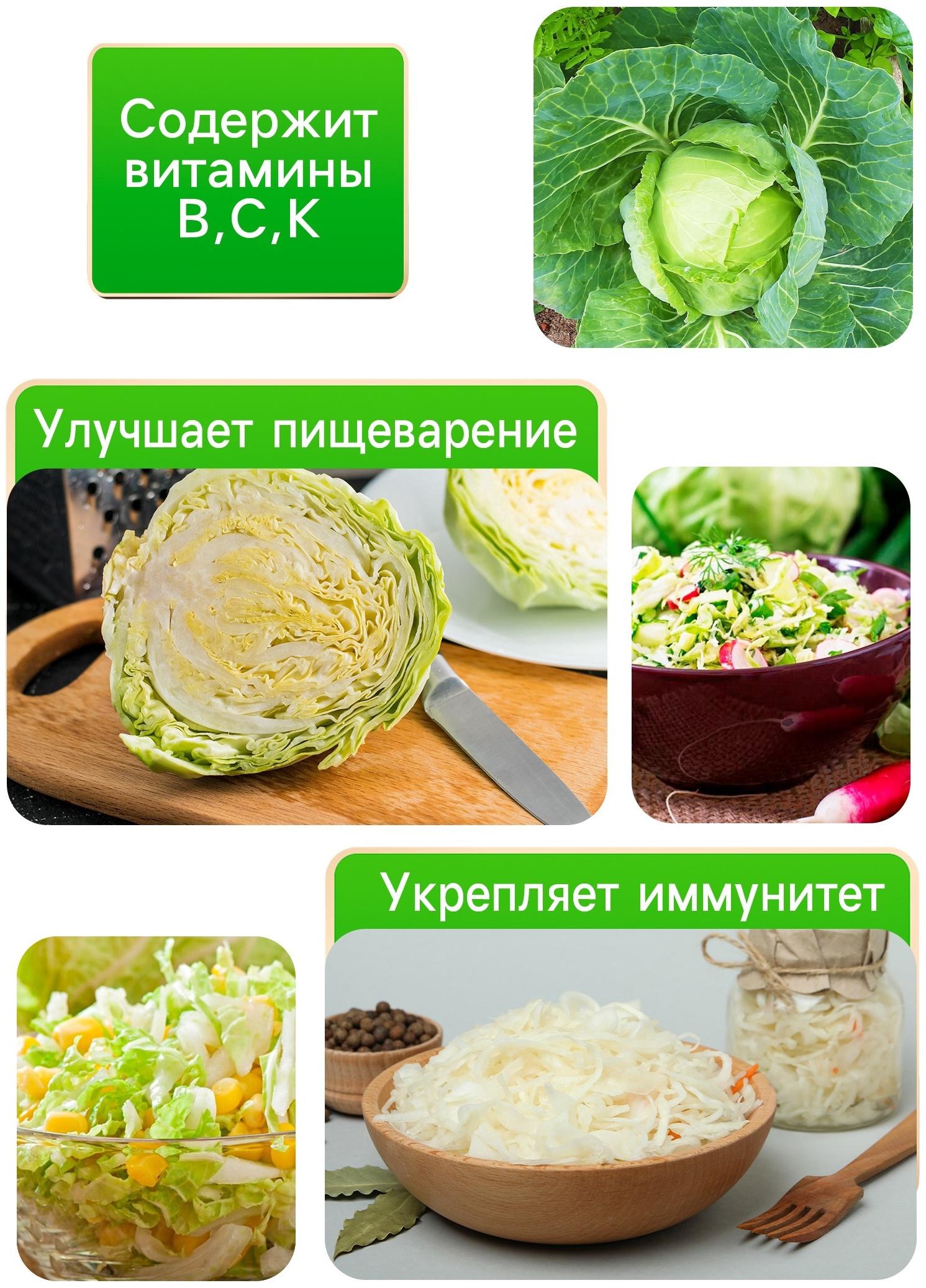 Семена Капуста белокочанная 