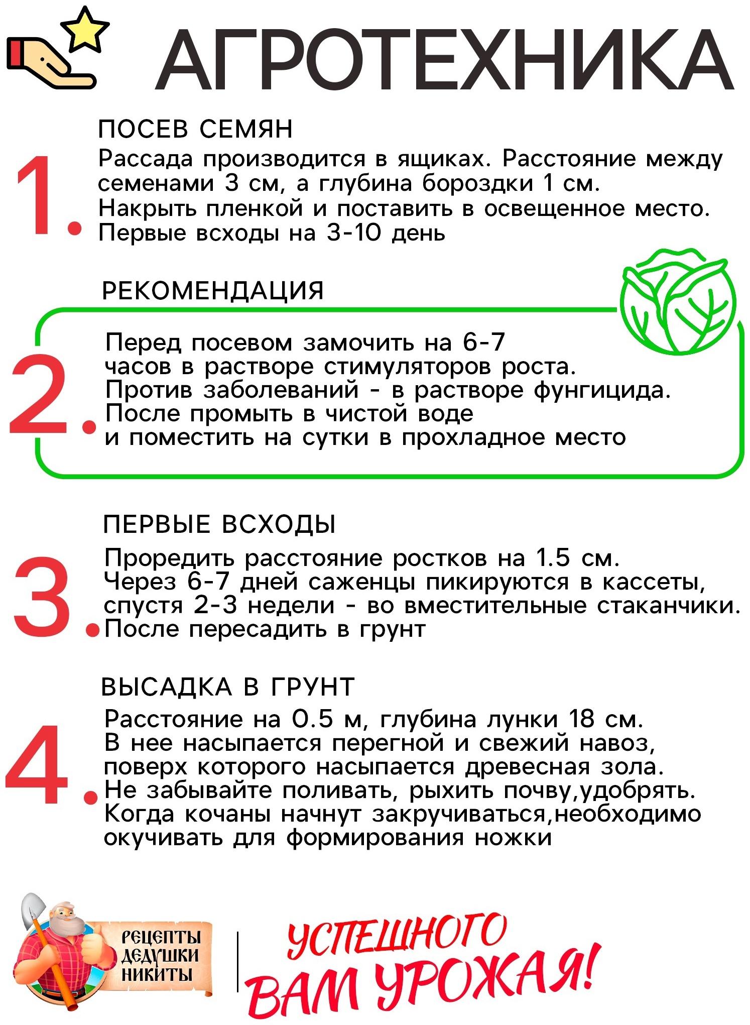 Семена Капуста белокочанная 