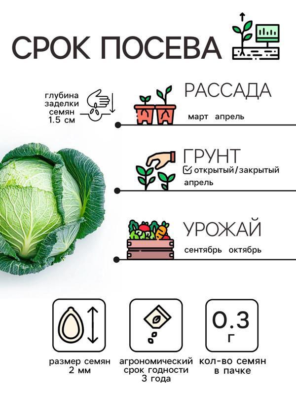 Семена Капуста белокочанная 