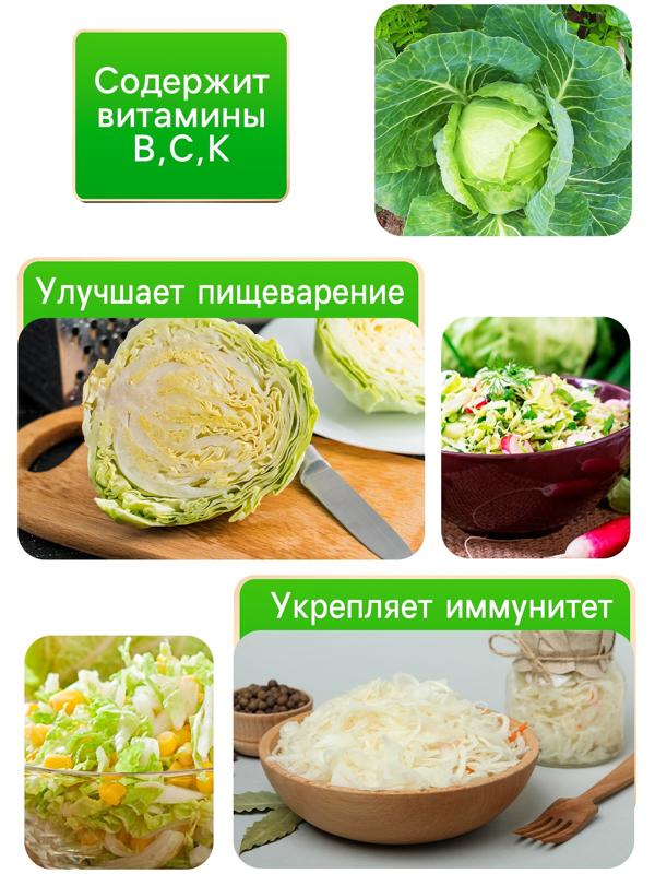Семена Капуста белокочанная 