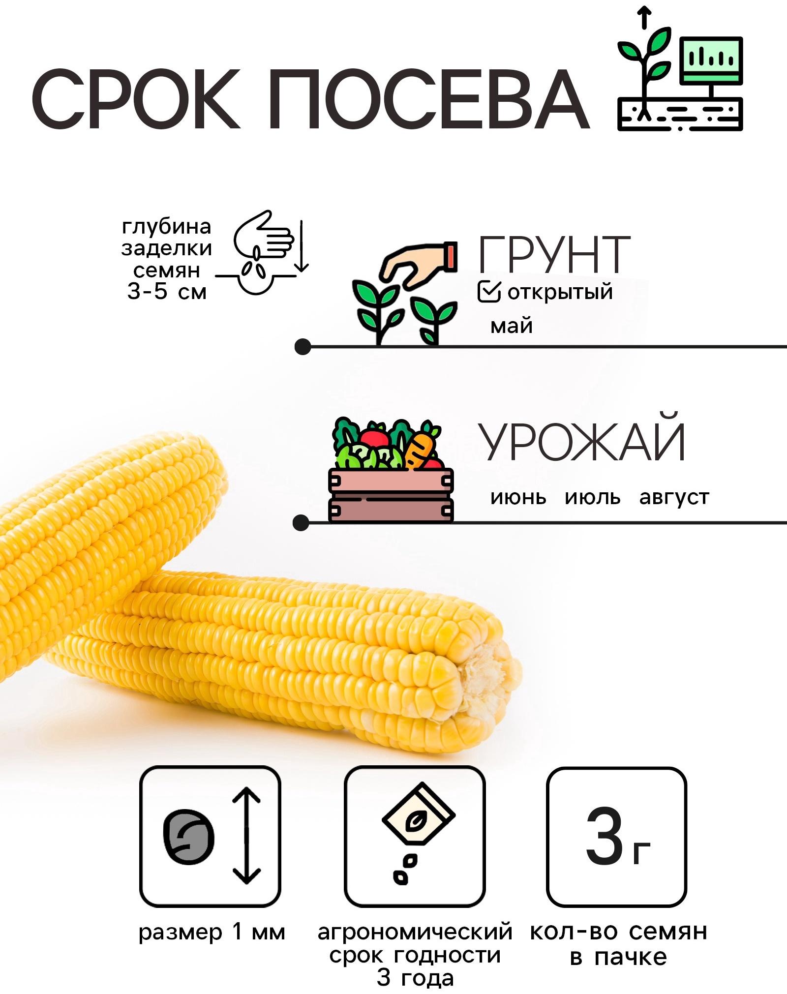 Семена Кукуруза 