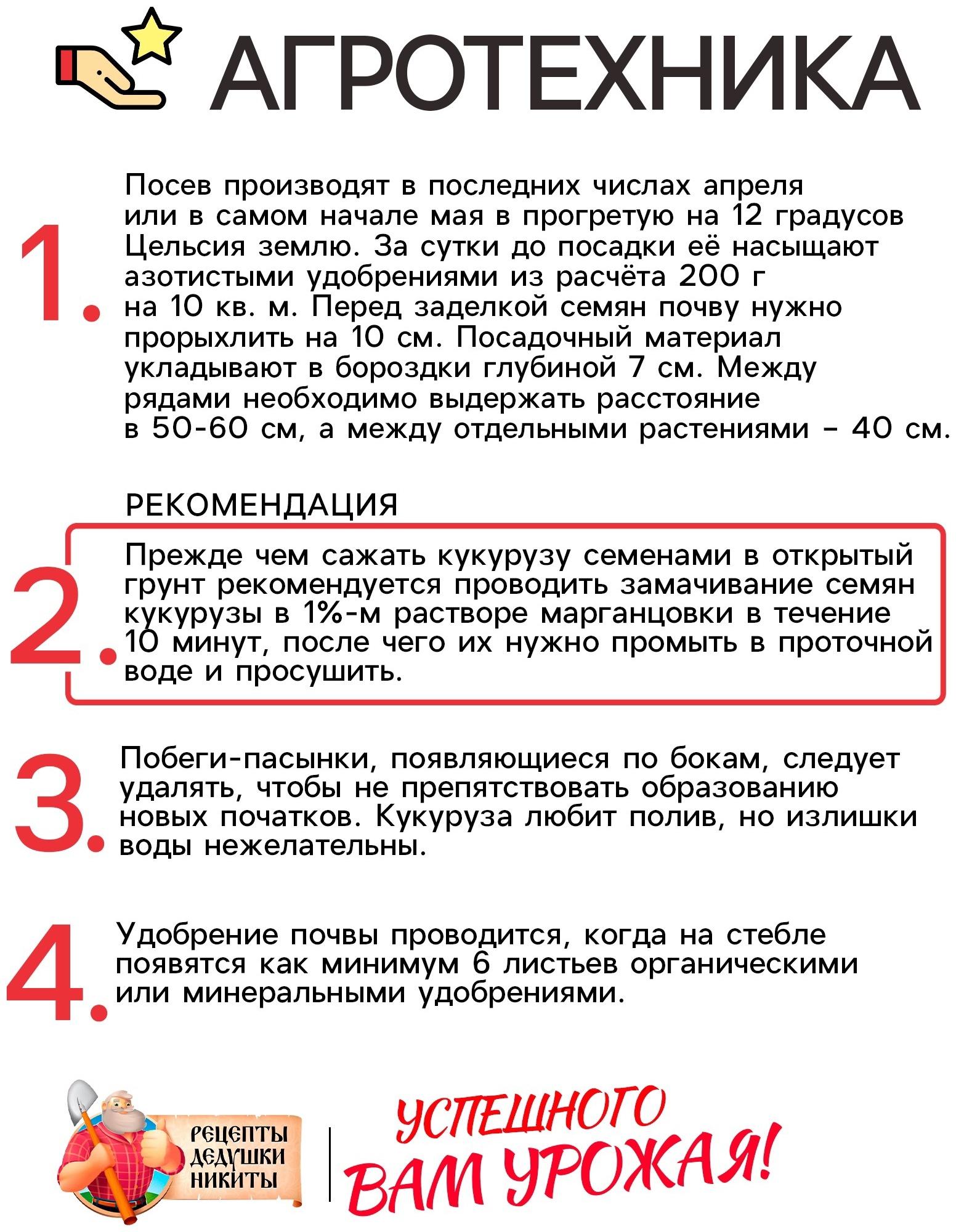 Семена Кукуруза 