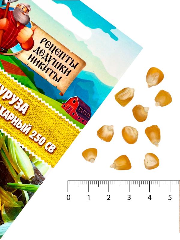 Семена Кукуруза 