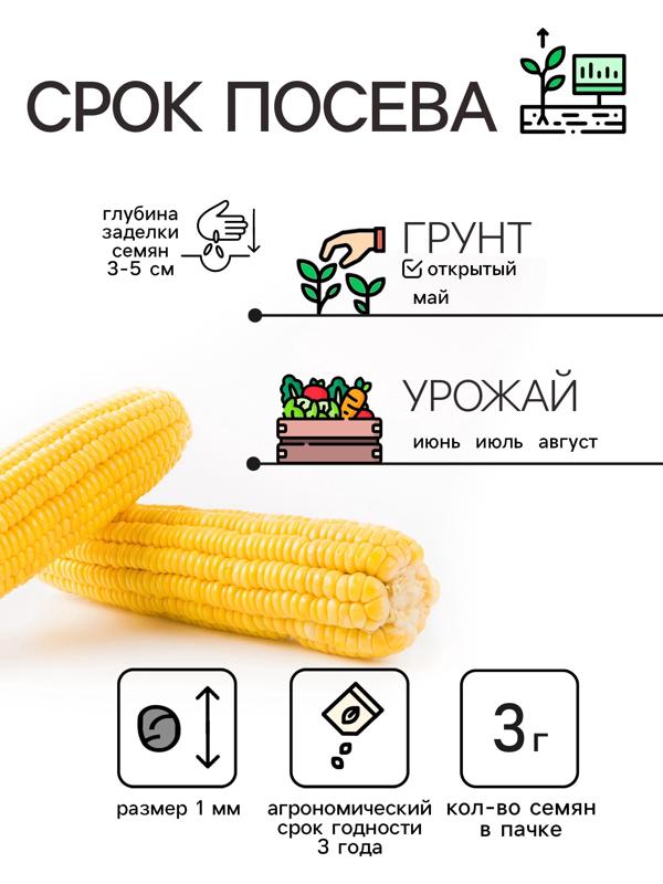 Семена Кукуруза 