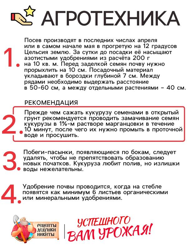 Семена Кукуруза 